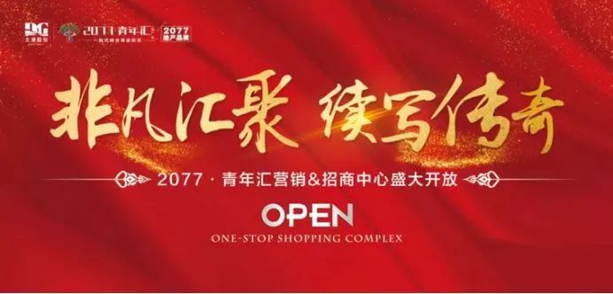 传世招商运营公司,传世集团